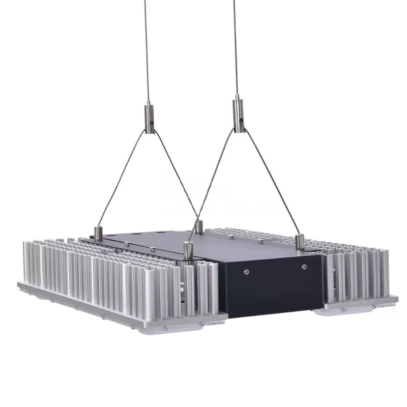 Products 2 Grow Lights – High Yield at Factory Prices WH 800x800px