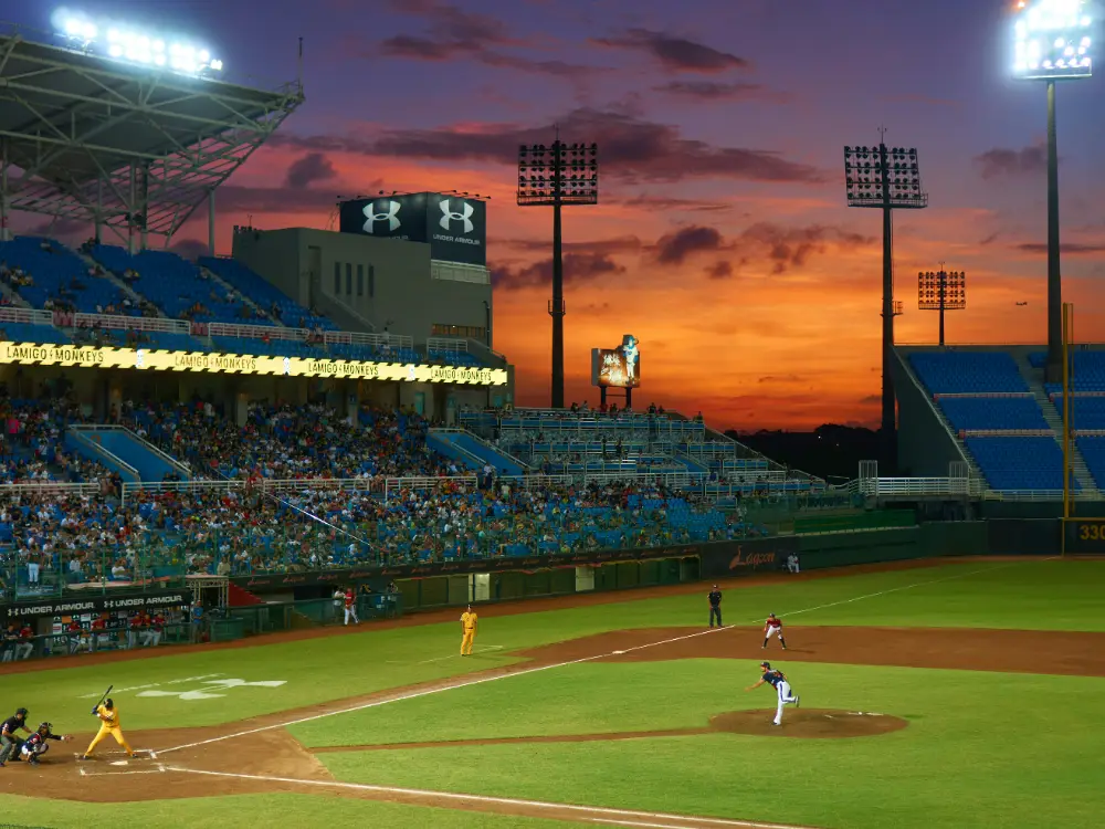 Home 1 Sports Lighting solution